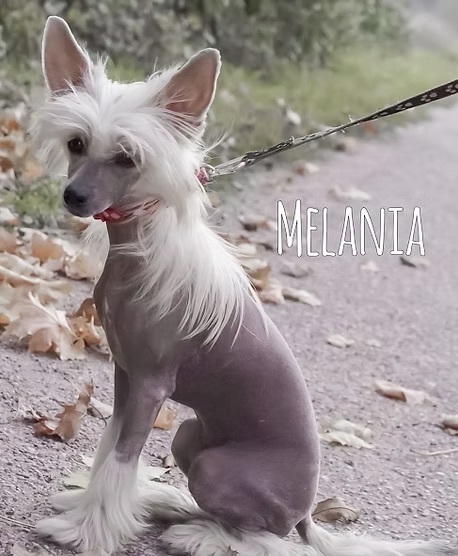 Melania